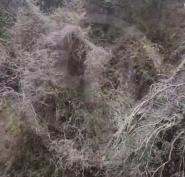 Оползень сошел на жилой сектор в Сочи в канун Нового года