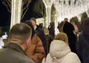 В Краснодаре в парке Галицкого гости штурмуют «Парк Облаков» и новую «Гайю»