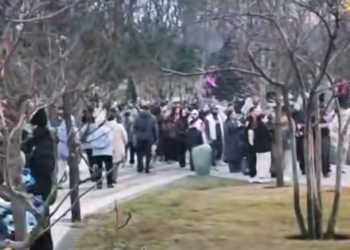 Парк Галицкого в Краснодаре забрал всех туристов на новогодних каникулах