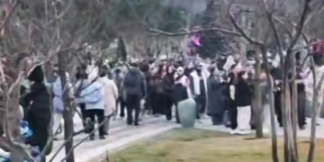 Парк Галицкого в Краснодаре забрал всех туристов на новогодних каникулах