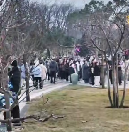 Парк Галицкого в Краснодаре забрал всех туристов на новогодних каникулах