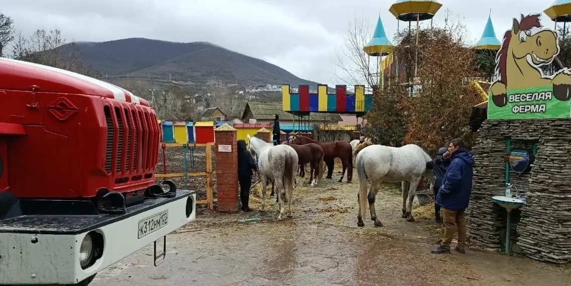 Сотрудники МЧС спасли человека и более 20 лошадей на пожаре в Новороссийске