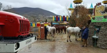 Сотрудники МЧС спасли человека и более 20 лошадей на пожаре в Новороссийске