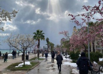 Февраль и март на Кубани будут аномальными. Синоптики сказали, к чему готовиться