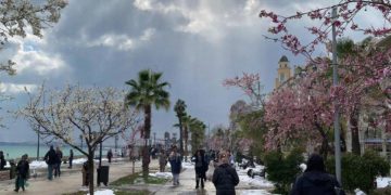 Февраль и март на Кубани будут аномальными. Синоптики сказали, к чему готовиться