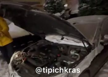 В Краснодаре крысы залезли под капот авто и перегрызли провода