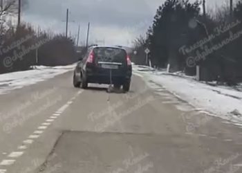 На Кубани автомобиль тащил за собой мертвую собаку
