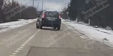 На Кубани автомобиль тащил за собой мертвую собаку