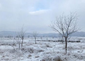 Стала известна погода на четверг и пятницу 22 и 23 января на Кубани