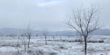 Стала известна погода на четверг и пятницу 22 и 23 января на Кубани