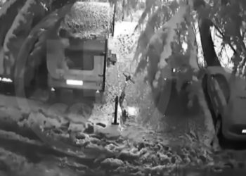 Из-за снегопада в Сочи дерево рухнуло на автодом