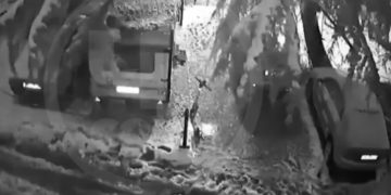 Из-за снегопада в Сочи дерево рухнуло на автодом