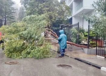 Прошунин: в Сочи устранили основные последствия непогоды