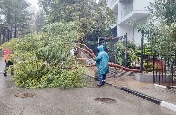 Прошунин: в Сочи устранили основные последствия непогоды