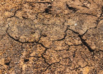 Прошунин сообщил о землетрясении в Сочи 4 января