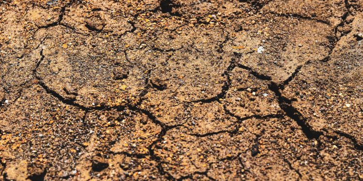 Прошунин сообщил о землетрясении в Сочи 4 января