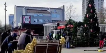 Сильный ветер опрокинул елку в Анапе