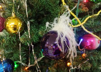 Что ждет жителей Кубани в январе 2026 года? Новые законы, выплаты и правила