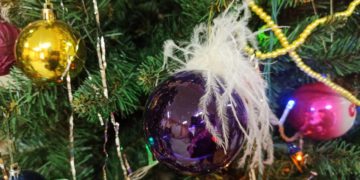 Что ждет жителей Кубани в январе 2026 года? Новые законы, выплаты и правила