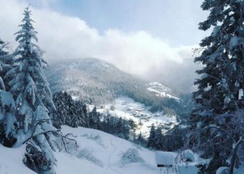 Погода спятит в четверг и пятницу 8 и 9 января на Кубани