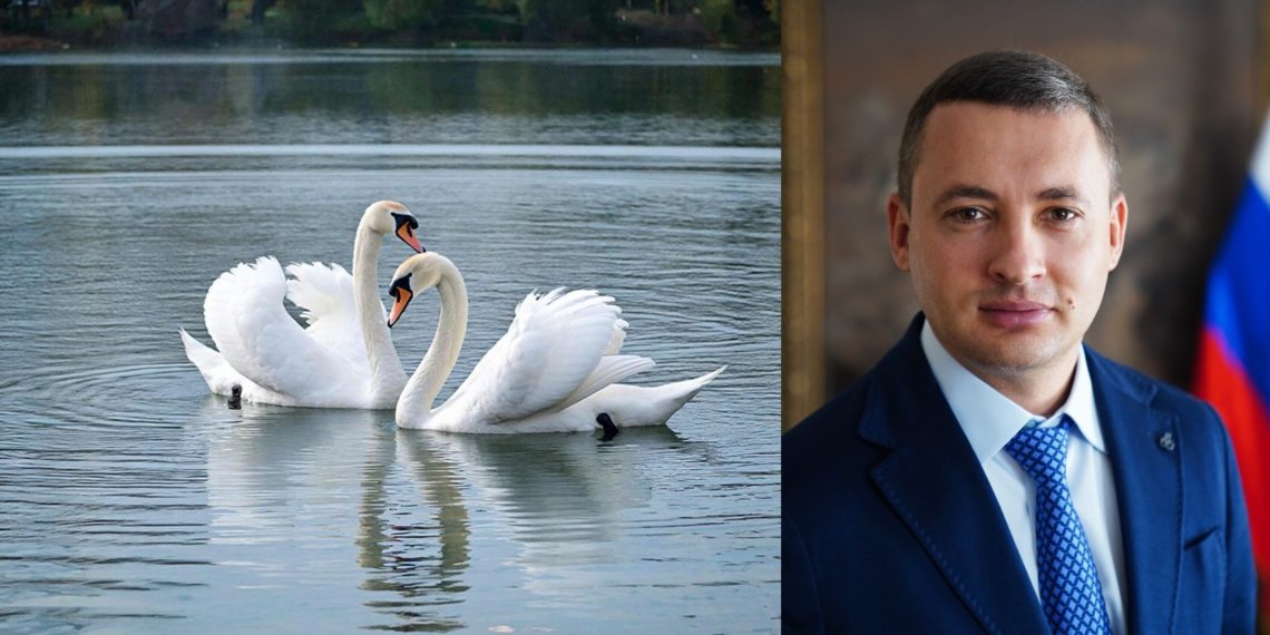 Отставка под аккомпанемент «Лебединого озера». Бондаренко умер как политик?