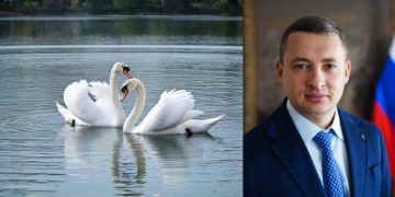 Отставка под аккомпанемент «Лебединого озера». Бондаренко умер как политик?