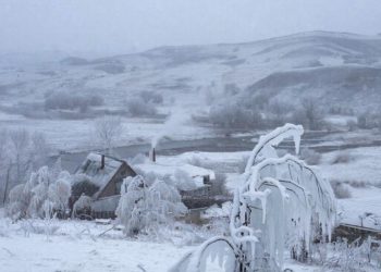 На Кубани в пятницу 16 января у погоды поедет кукуха