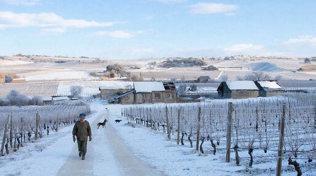 «Резкая смена декораций». Январь на Кубани завершится погодным спектаклем