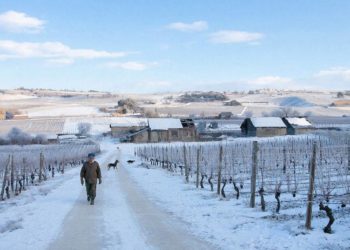 «Резкая смена декораций». Январь на Кубани завершится погодным спектаклем