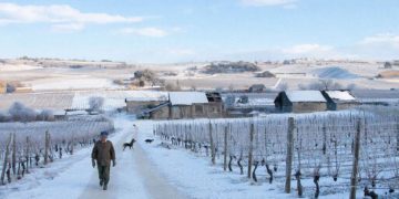 «Резкая смена декораций». Январь на Кубани завершится погодным спектаклем