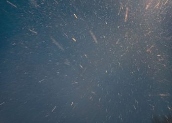 После аномального тепла на Кубань возвращается зима