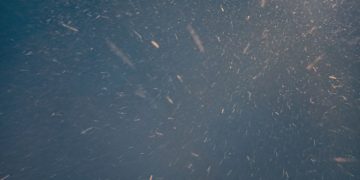 После аномального тепла на Кубань возвращается зима