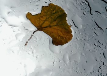 На Кубани 5 января ожидается штормовая погода с ливнями и шквалистым ветром