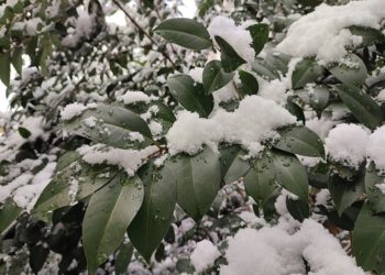 Погодная вакханалия обрушится на Сочи и «Сириус» 12 и 13 января