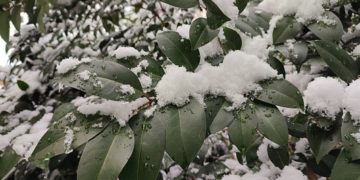 Погодная вакханалия обрушится на Сочи и «Сириус» 12 и 13 января