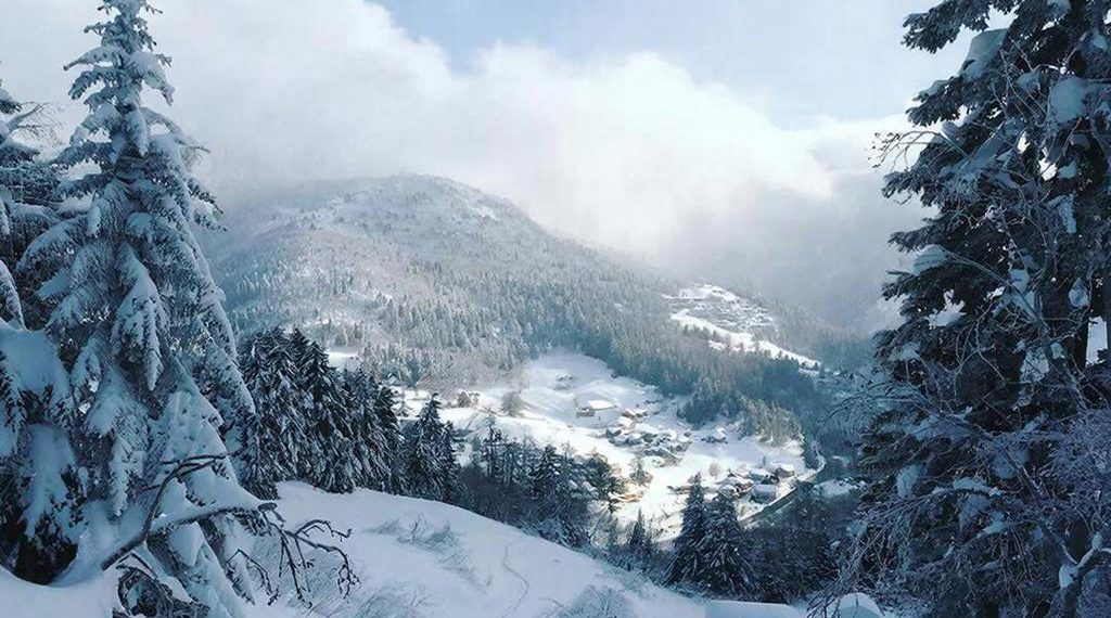 Синоптики удивили прогнозом на пятницу 9 января в Краснодарском крае