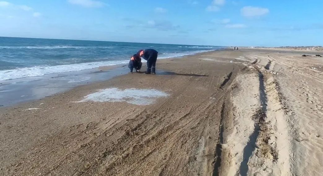 За неделю в Краснодарском крае не зафиксировали новых выбросов мазута