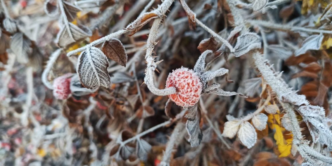 Погода ошалеет в ближайшие субботу и воскресенье на Кубани