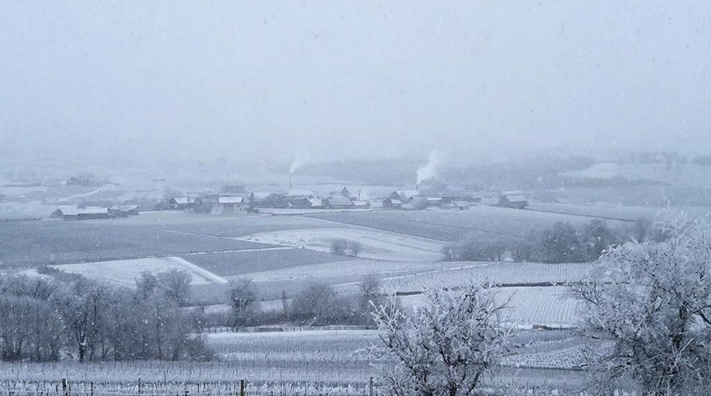 «Мокрый снег и дождь»: прогноз на понедельник и вторник на Кубани
