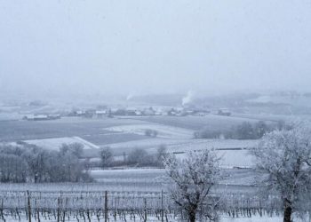 «Мокрый снег и дождь»: прогноз на понедельник и вторник на Кубани