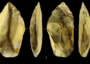 Стоянки древних людей на Кубани перевернули представление об истории