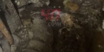 В Сочи подвал многоэтажки пять месяцев затапливает фекалиями