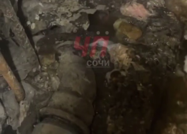 В Сочи подвал многоэтажки пять месяцев затапливает фекалиями