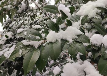 Прошунин: в Сочи ожидаются снегопады и шторм на море