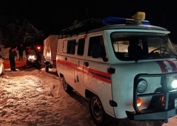 Прошунин: в Сочи убрали более 430 поваленных деревьев