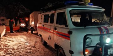 Прошунин: в Сочи убрали более 430 поваленных деревьев