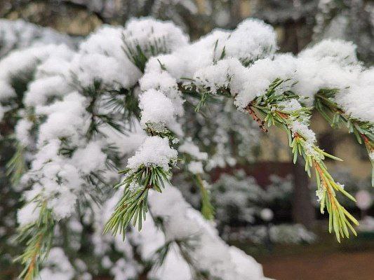 В горах Сочи ожидается сильный снег 24 и 25 января