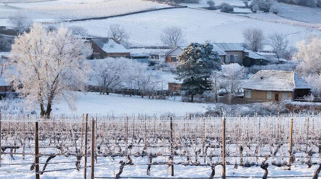 Зима пришла на Кубань всерьез и надолго. Когда ударят 20-градусные морозы?