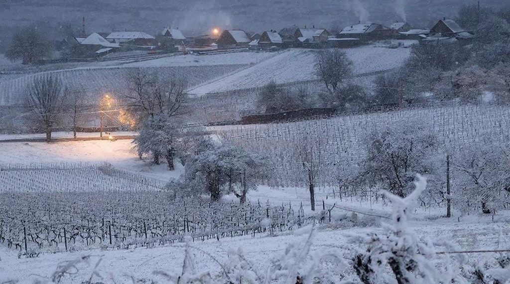 «25 января на Кубани будет самым аномальным в XXI веке». К чему готовиться?