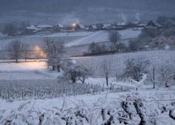 «25 января на Кубани будет самым аномальным в XXI веке». К чему готовиться?